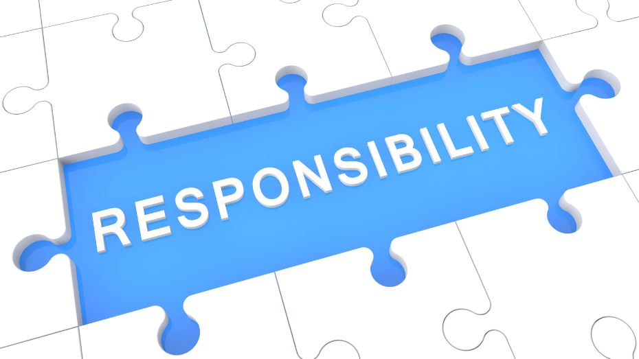 Responsibilities of the Users